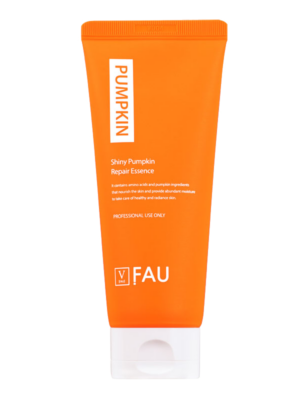 Shiny Pumpkin Repair Essence